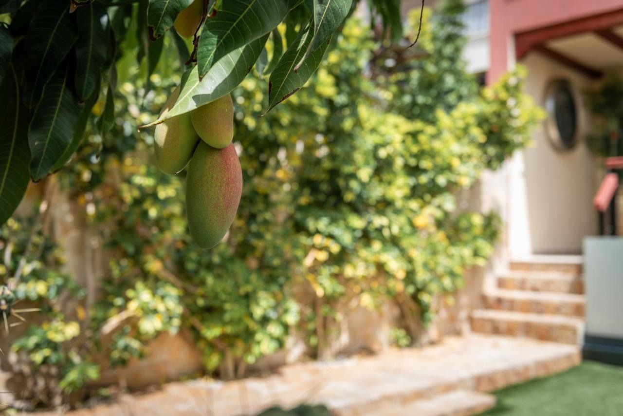 Comfortable 4-Bedroom Villa With Private Gardens Costa Adeje  Exteriör bild